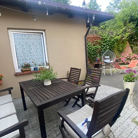 Urban Jungle - The Garden Side Gdyně