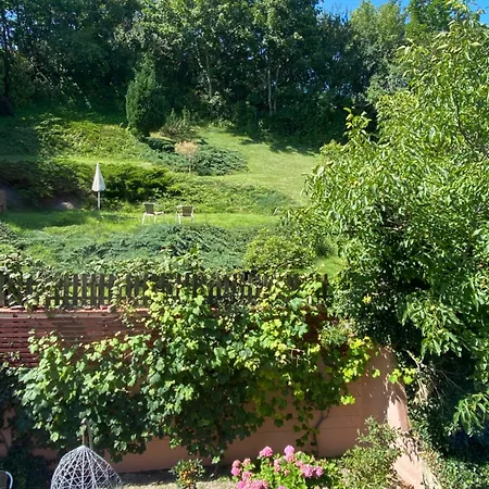 Urban Jungle - The Garden Side Gdynia