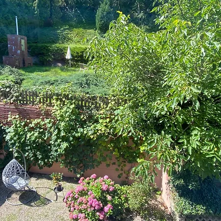 Urban Jungle - The Garden Side